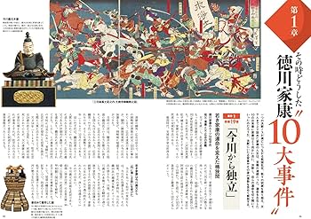 超ワイド折込&図解でよくわかる!徳川家康のすべて: 歴史群像シリーズ